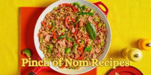 Pinch of Nom Recipes