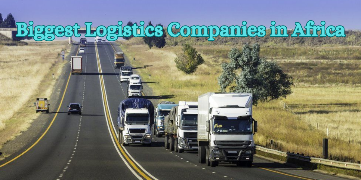 Biggest Logistics Companies in Africa