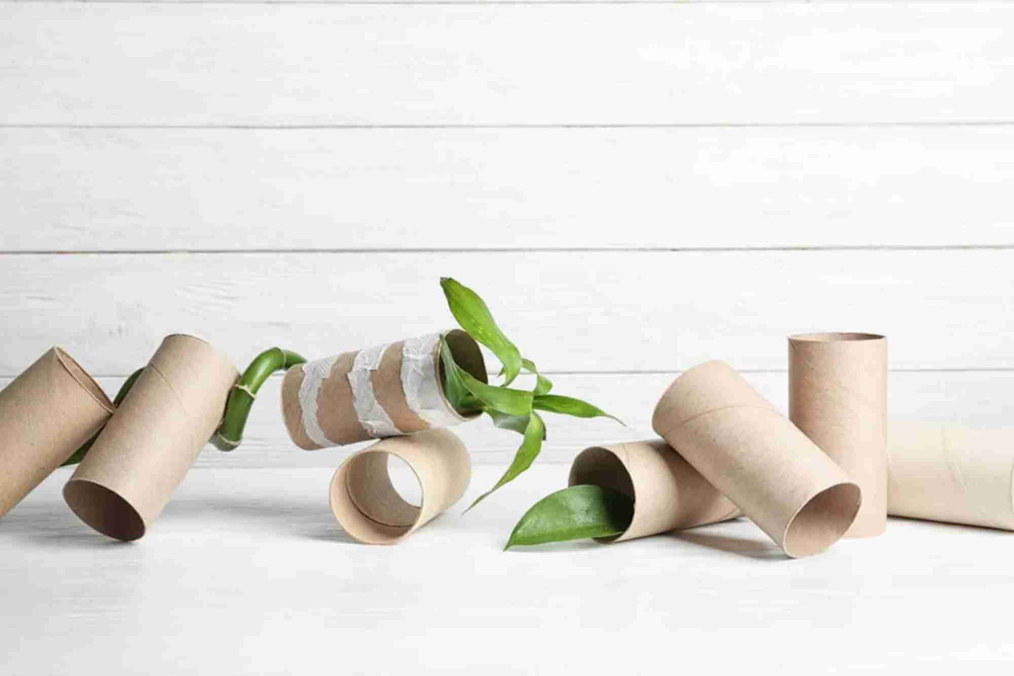 Is bamboo toilet paper better for the environment?