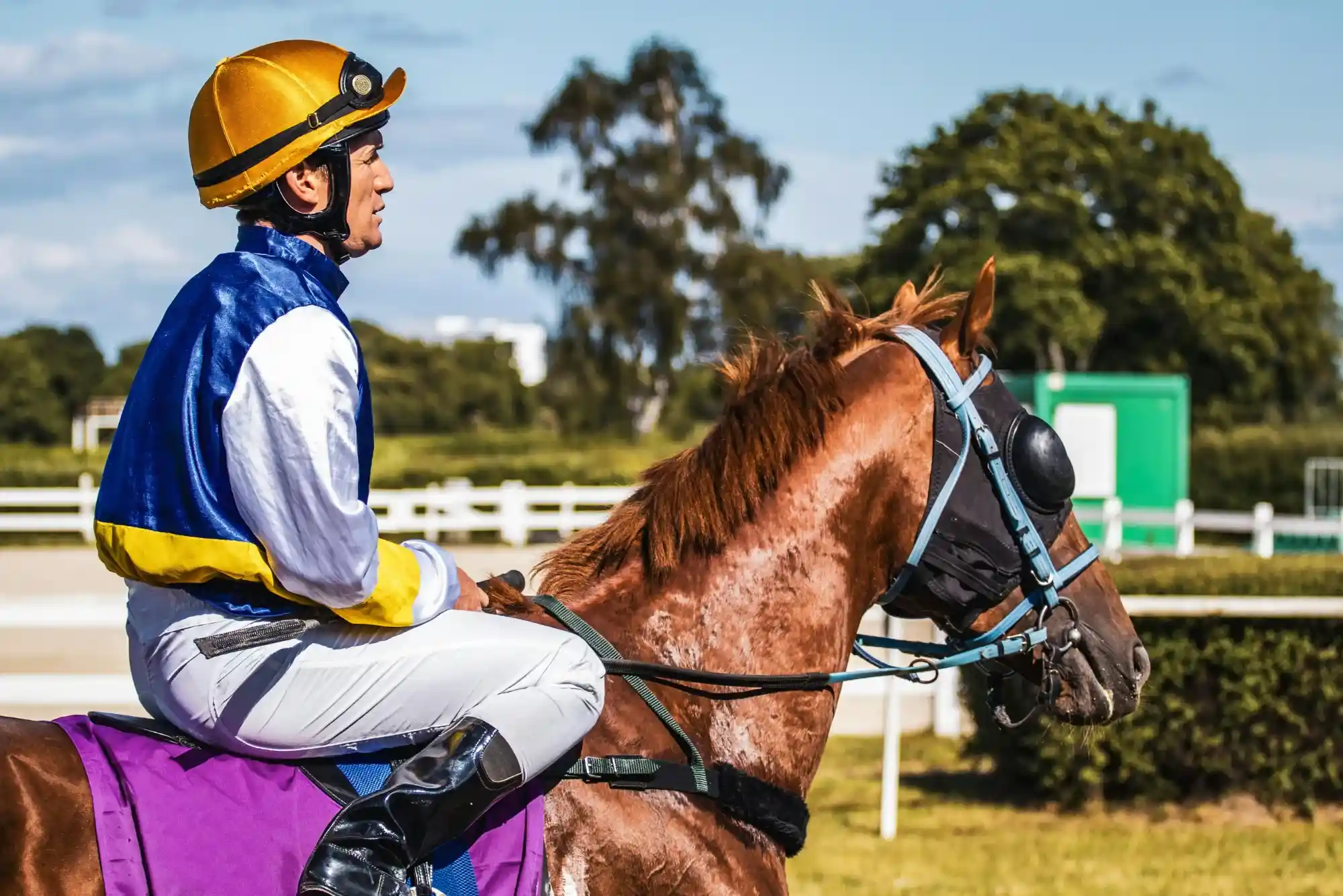 How to Choose a Reliable Horse Racing Betting Site