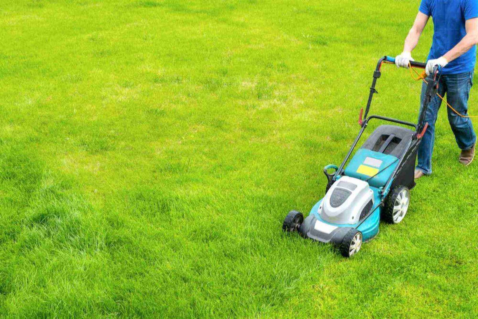 Lawn Services in Omaha, NE